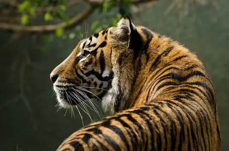 نمونه عکس گرقته شده با Canon EF 70-300mm
